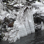 ice on branch in steam